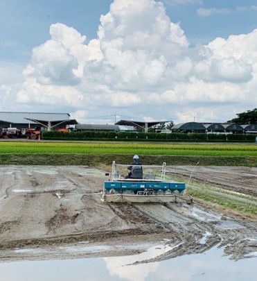 A picture containing grass, outdoor, sitting, train  Description automatically generated