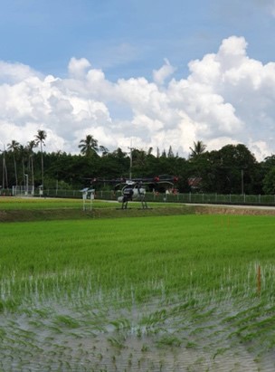 A large green field with trees in the background  Description automatically generated